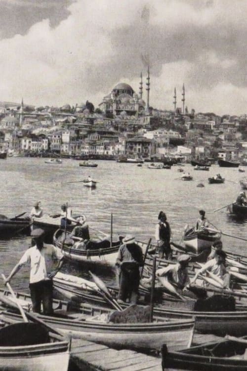 Istanbul, Weltstadt am Goldenen Horn (1954)