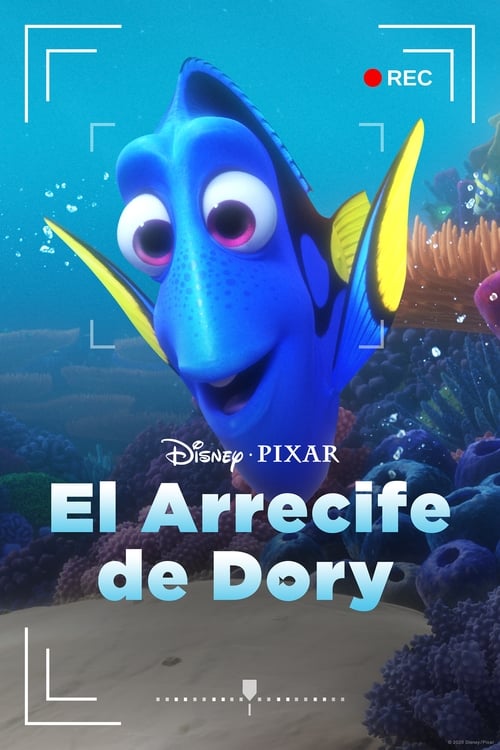 Image El arrecife de Dory