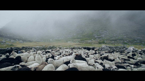 Into the fog still
