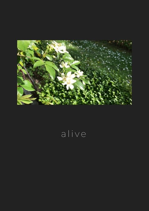 Alive movie poster player