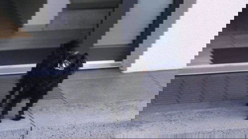 Image de l'épisode 6