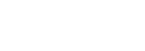 Transgender Twins