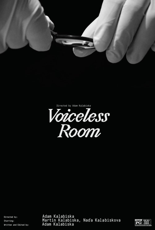 Voiceless Room (2021)