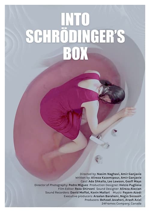 Into Schrodinger's Box Poster