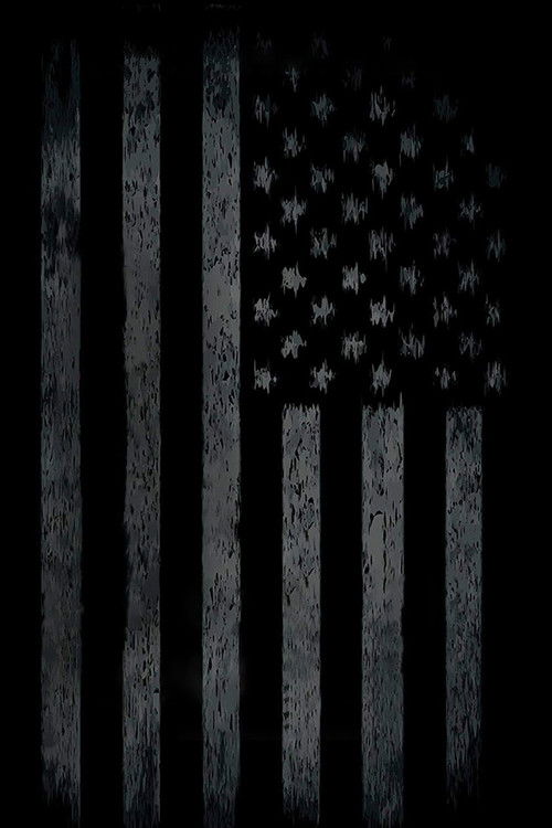 Surviving America poster