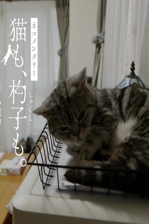ネコメンタリー (2025) poster