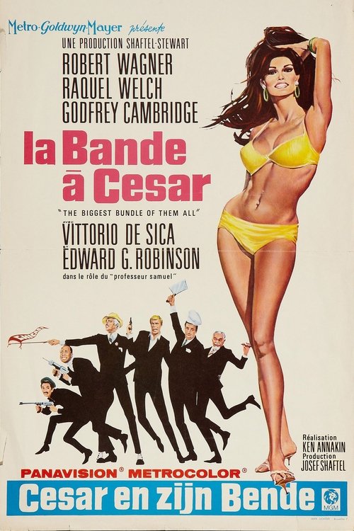 La bande à César movie poster player