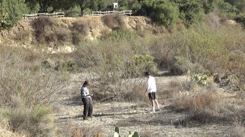 backdrop Oh, Let's Be Friends!