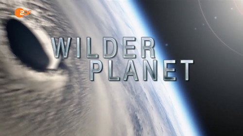 Wilder Planet — Fundos 1