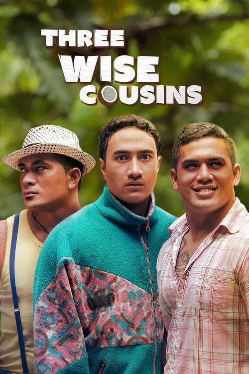 Three Wise Cousins (2016) poster