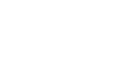 La sombra del comandante