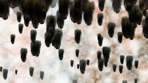 The Anatomy of a Feather Backdrop Blur