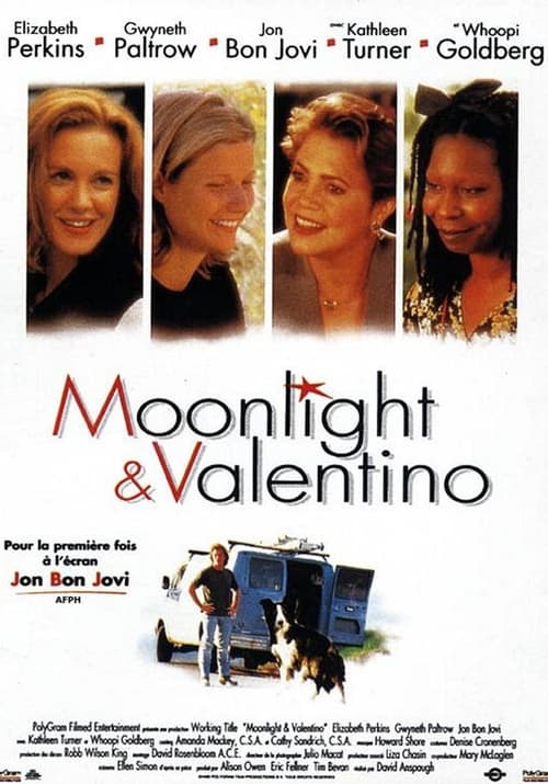 Moonlight et Valentino (1995)