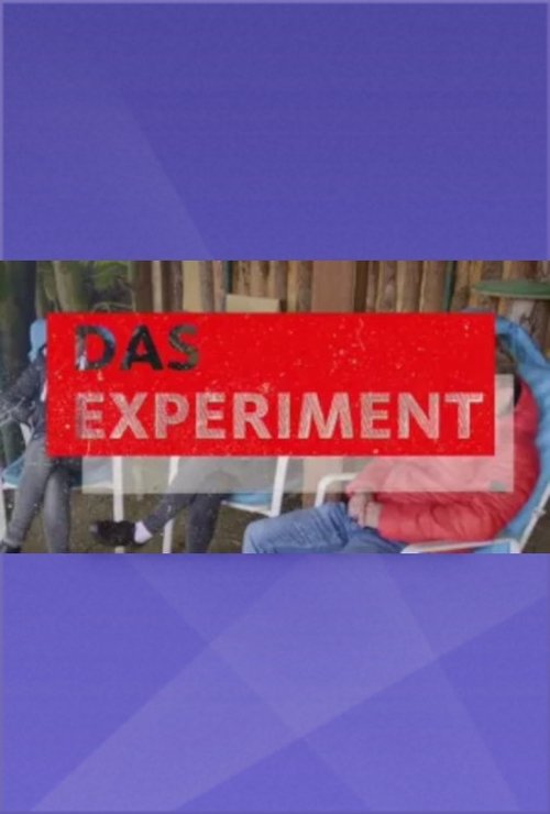 Das Experiment