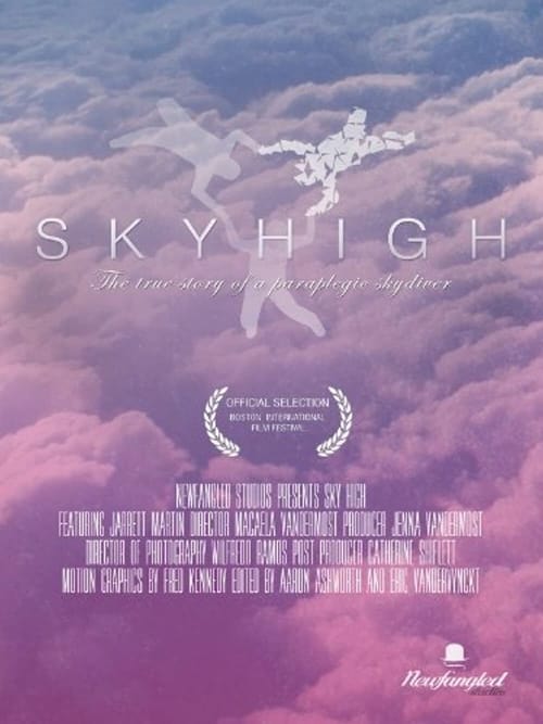 Sky High poster