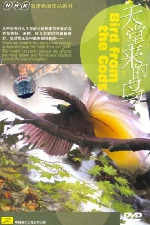 Poster Birds from the Gods 2004