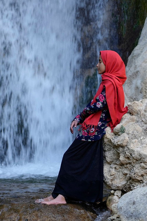 خواب بلوط‌های وحشی