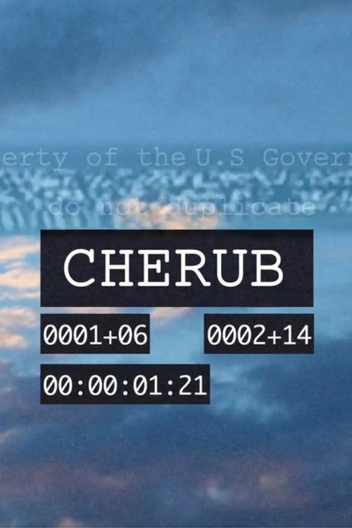 Cherub poster