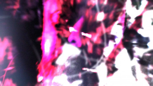 Antichambre Bild 8