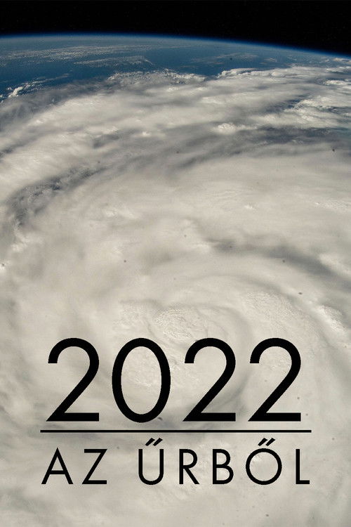 2022: The Year from Space poster