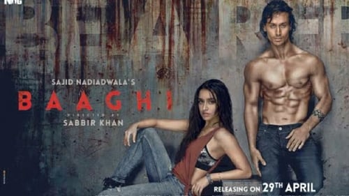 Baaghi (2016) Hindi BluRay 480p & 720p GDrive