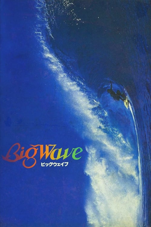 Poster Big Wave 1984