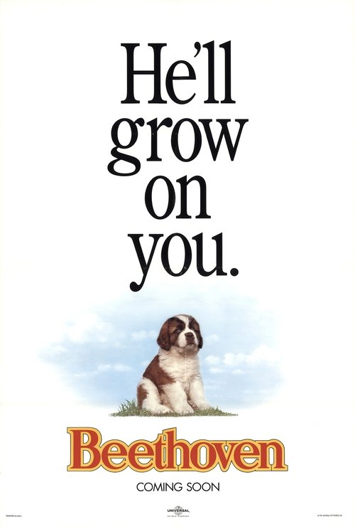Poster 9