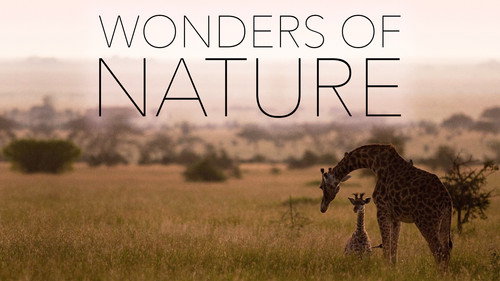 Wonders of Nature - Season 1 Backdrop Blur