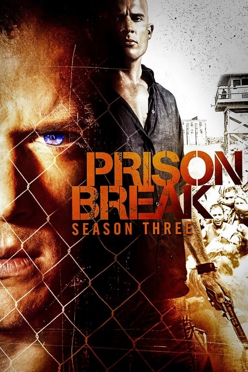Where to stream Prison Break Season 3