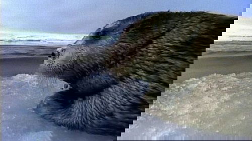 Image de l'épisode 18