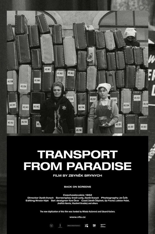Transport from Paradise