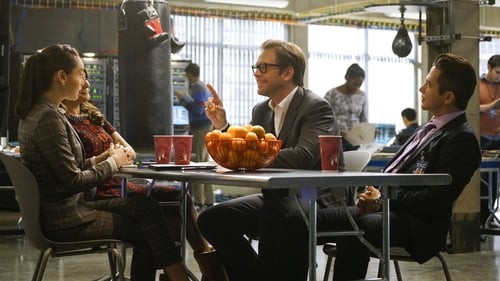 Bull: 1×8