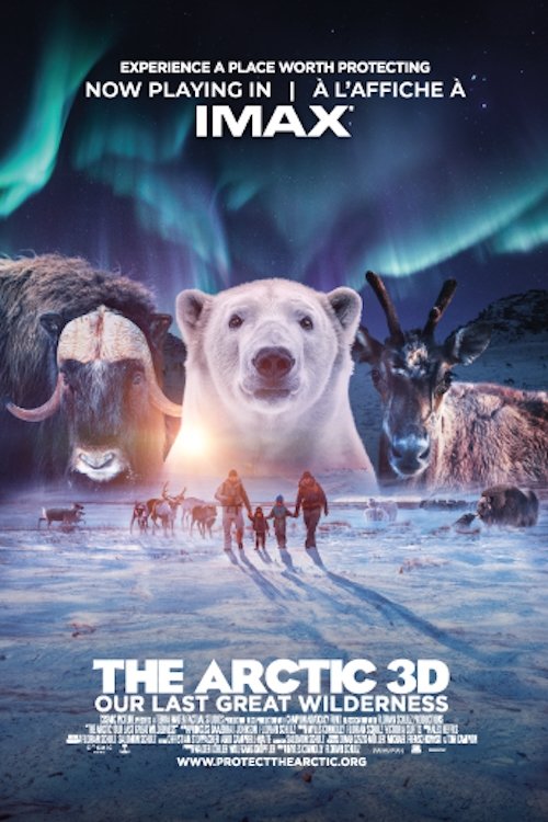 The Arctic: Our Last Great Wilderness poster