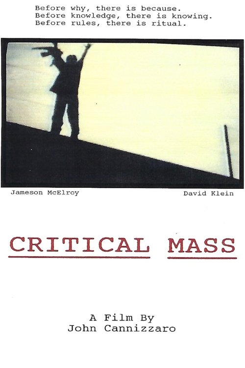 Critical Mass movie poster player