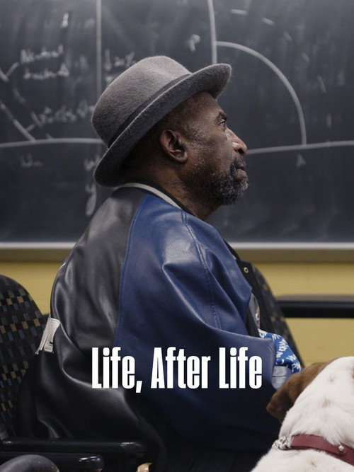 Life, After Life poster