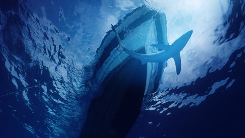movie backdrop 5