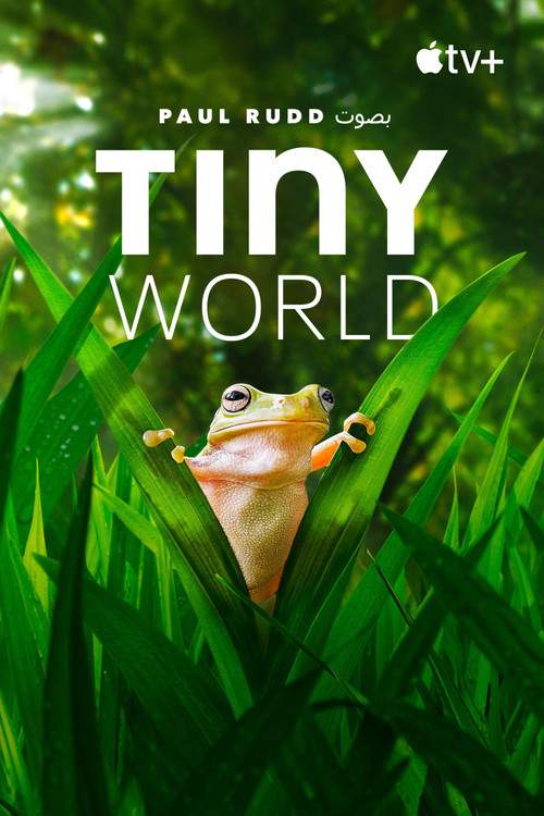 Tiny World