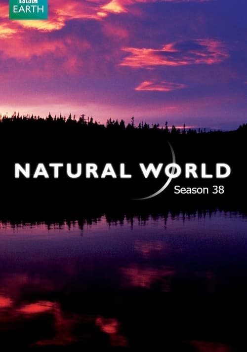Natural World, S38 - (2018)