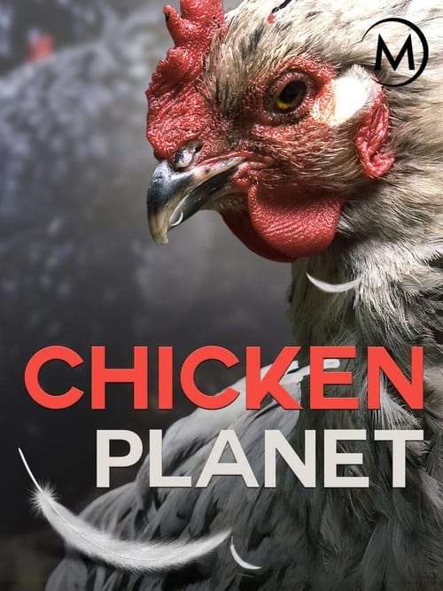 Chicken Planet poster