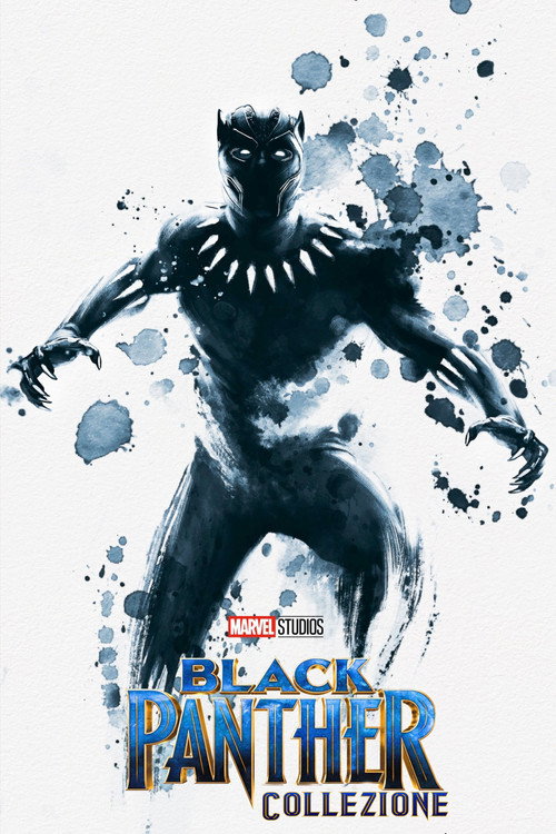 Black Panther - Collezione