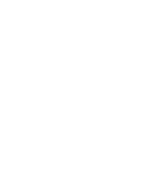 The Toybox