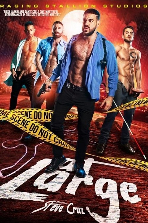 Poster 2