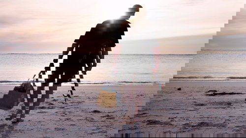 When Sharks Attack 360