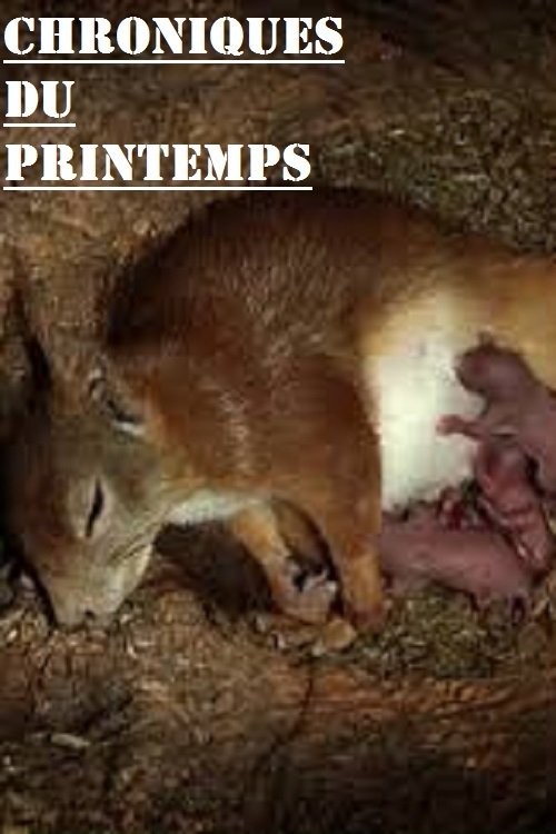 Chroniques du printemps movie poster player