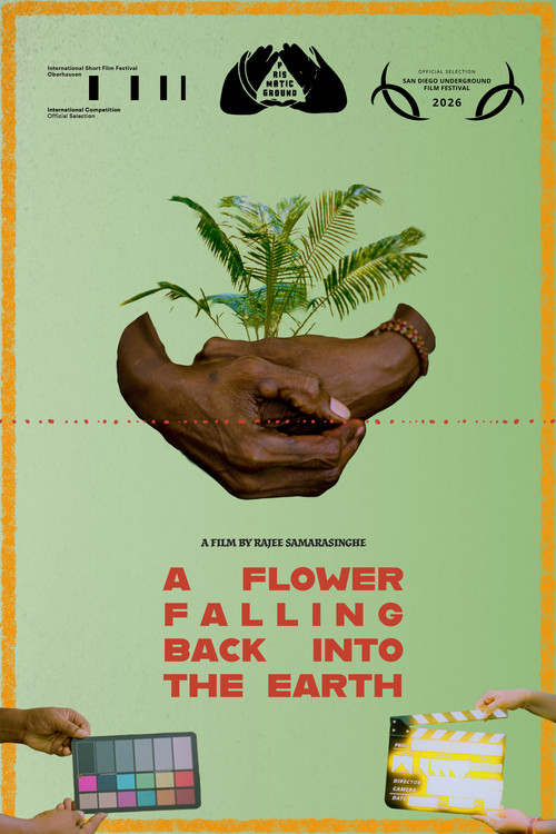 A Flower Falling Back Into the Earth