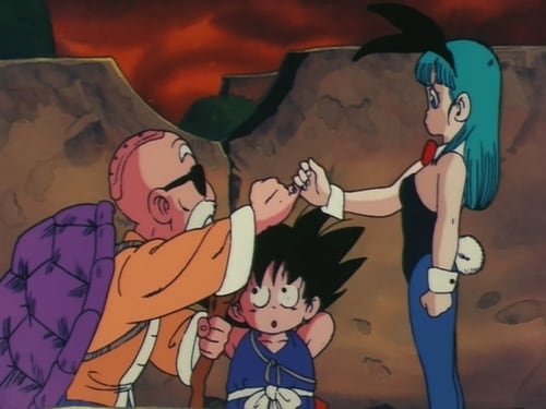 Dragon Ball: 1×8