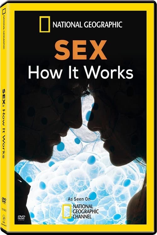 Poster Sex How It Works 2013