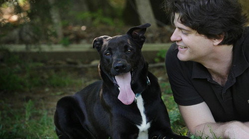 Is Your Dog a Genius? - Season 1 Backdrop Blur