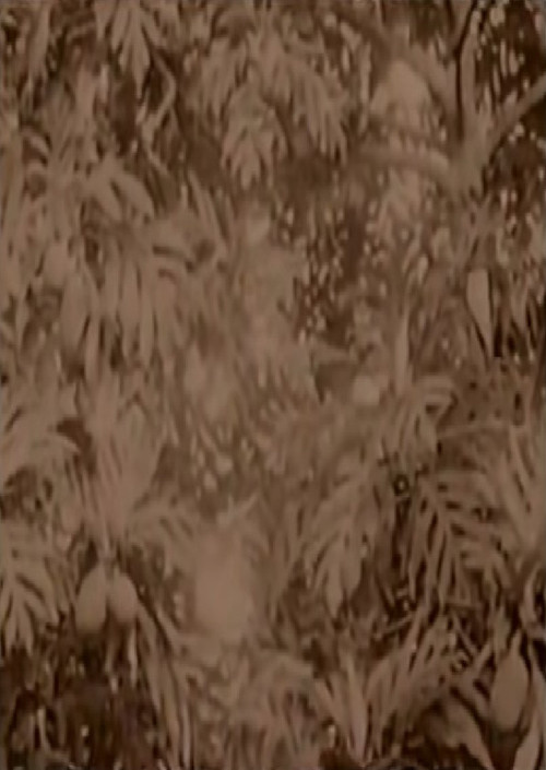 History of Micronesia