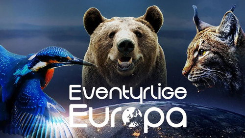 Europe — Fondos 2